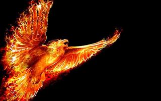 Phoenix HD Live Wallpaper captura de pantalla 3