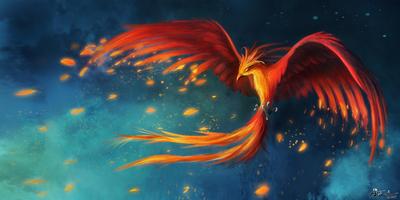 Phoenix HD Live Wallpaper скриншот 2