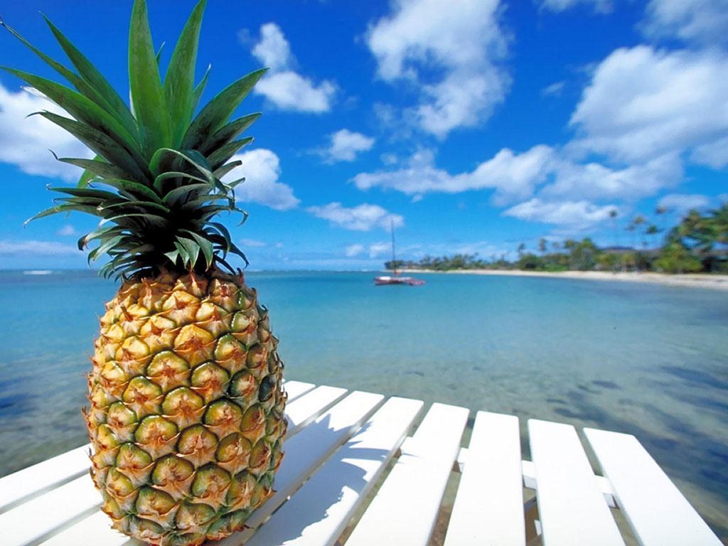 Android 用の Pineapple Live Wallpaper Apk をダウンロード Android 用の Pineapple Live Wallpaper Apk をダウンロード