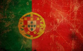 Portugal Flag Live Wallpaper imagem de tela 3