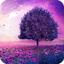 Purple Trees Live Wallpaper APK