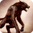 Werewolf Pack 2 Live Wallpaper APK