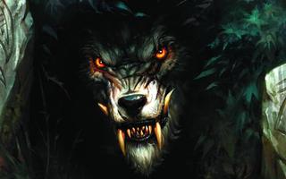 Werewolf HD Live Wallpaper capture d'écran 1