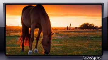 Black Horse Wallpaper 스크린샷 1