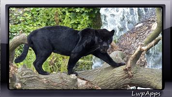 Black Panther Pack 2 Wallpaper スクリーンショット 1