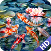 ”Koi Fish Wallpaper
