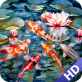Koi Fish Wallpaper