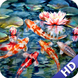Koi Fish Wallpaper 아이콘