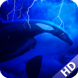 Orca Wallpaper icono