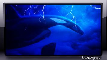 Orca Wallpaper پوسٹر