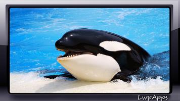Orca Wallpaper اسکرین شاٹ 2