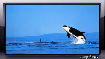 Orca Wallpaper اسکرین شاٹ 3