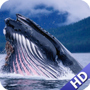 Whale Pack 2 Wallpaper APK