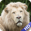 White Lion Wallpaper