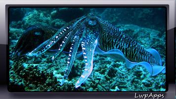 برنامه‌نما Octopus Wallpaper عکس از صفحه