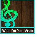 J.Bieber - What Do You Mean aplikacja