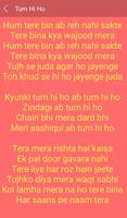 Hit Aashiqui 2 Songs Lyrics captura de pantalla 2
