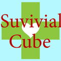 CubeSurv (Unreleased)