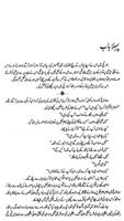 LaHasil Urdu Novel capture d'écran 2