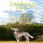 Talking-Dancing Dog आइकन