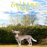 Talking-Dancing Dog أيقونة