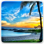 Đầm Phá Hình Nền Động