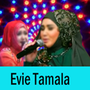 Lagu Dangdut Evie Tamala Lengkap Mp3 APK