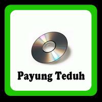 Lagu Lagu Payung Teduh Akad Mp3 Screenshot 3