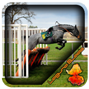 Horse Jump Fence Design APK