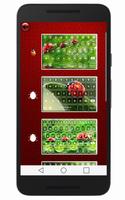 Ladybug Keyboard स्क्रीनशॉट 2