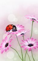 Ladybug Live Wallpaper capture d'écran 1