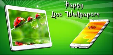 Ladybug Live Wallpaper