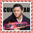 Lagu Rizky Febian - Cukup Tau APK