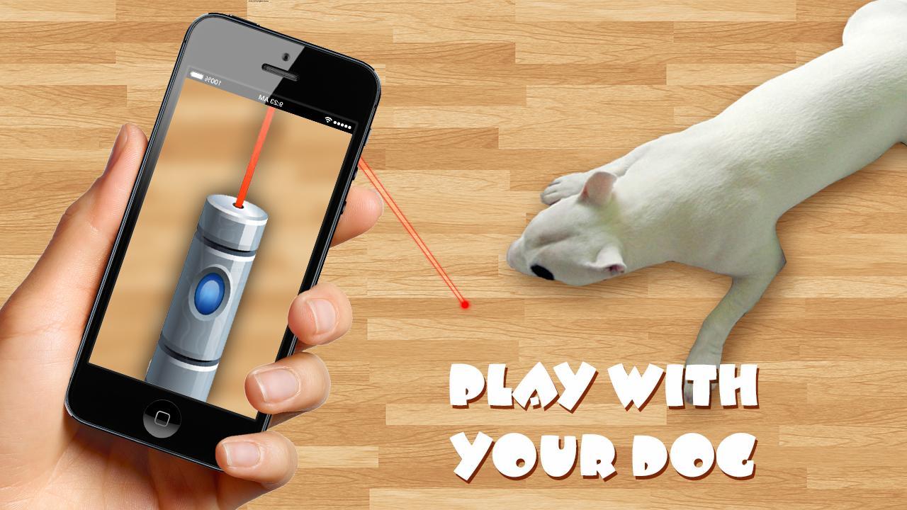 Лазер для собак. Лазер от собак. Почему вредно играть с собакой лазерной указкой. Yareel 3d на андроид