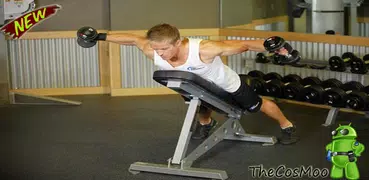 Professional exercises to do in the gym