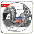 Sixpack Abdominal Muscle Exercises icône