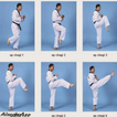 Taekwondo Training Strategy