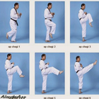 Taekwondo Training Strategy icône