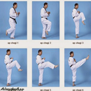 Strategi Pelatihan Taekwondo APK