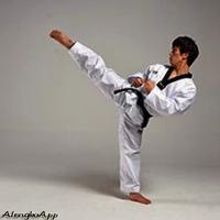 Taekwondo Training Strategy capture d'écran 3