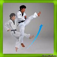 Taekwondo Training Strategy Affiche
