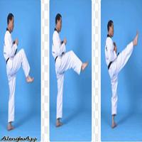 Taekwondo Training Strategy capture d'écran 1