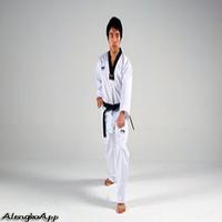 Taekwondo Training Strategy capture d'écran 2
