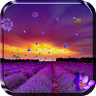 Lavendel Live Achtergronden-icoon