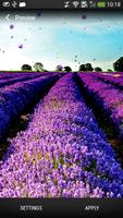 Lavendel Live Achtergronden-poster