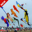 Vitreous kite designs APK