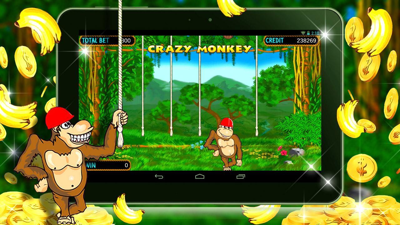 Monkey Monkey