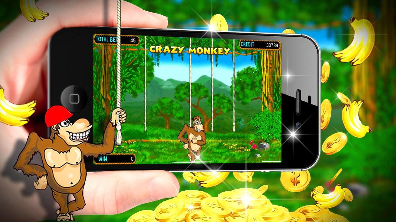 Казино онлайн обезьянки онлайн казино адмирал зеркало вход
