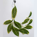 Leaf Art Design