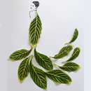 APK Leaf Art Design